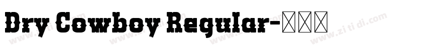 Dry Cowboy Regular字体转换